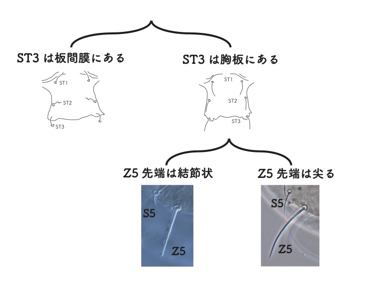 step7-4
